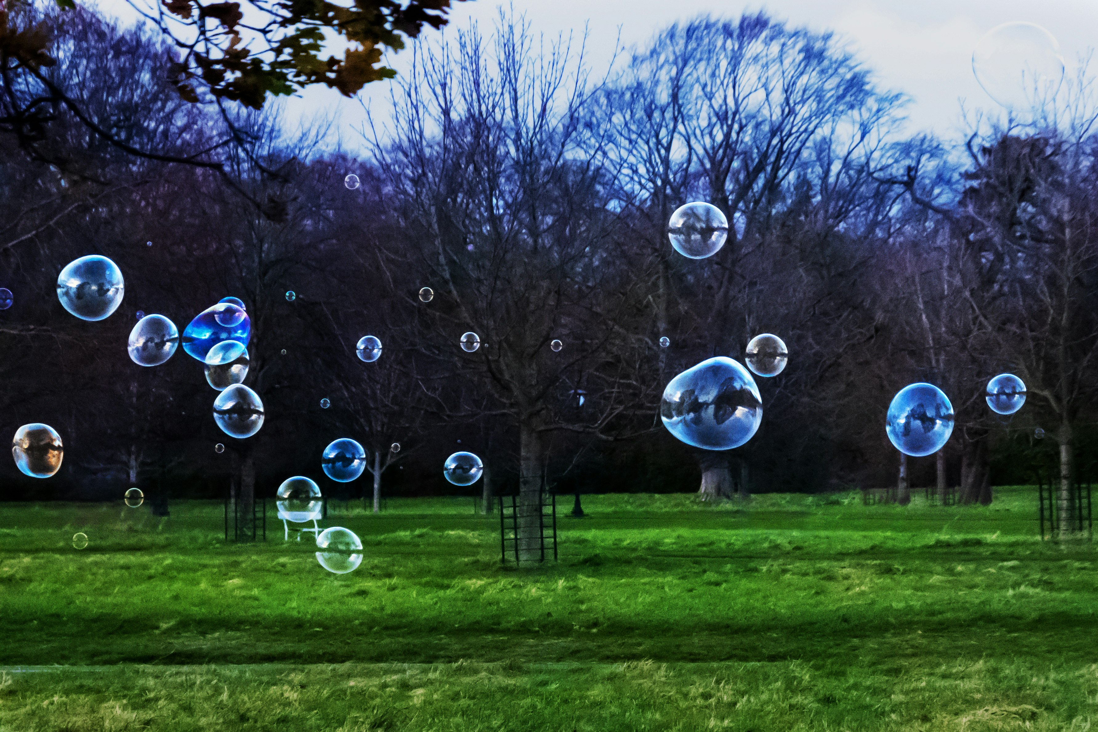 clear bubbles on green grass field during daytime